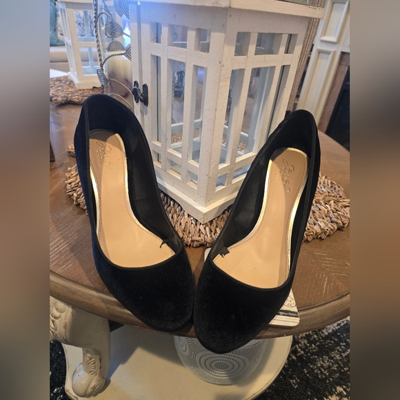 Jewel Badgley Mischka Velvet - Picture 15 of 17